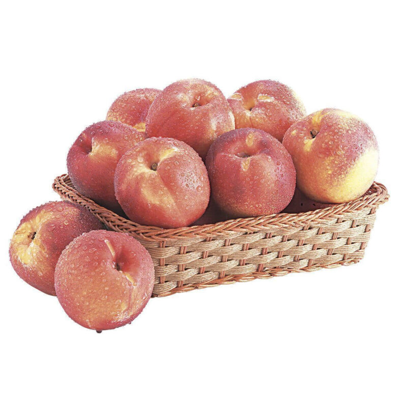 483438 Digisellos Product