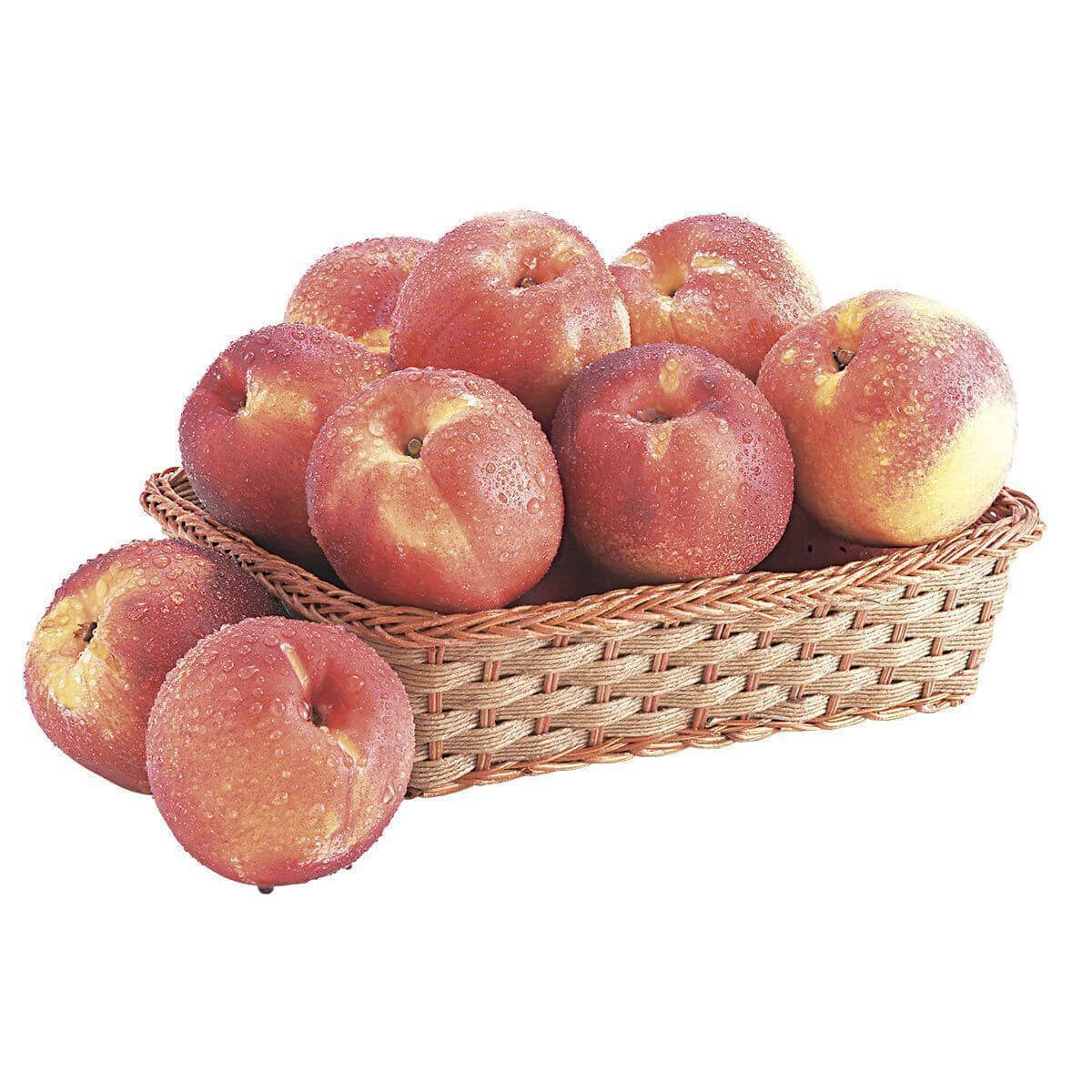 483438 Digisellos Product