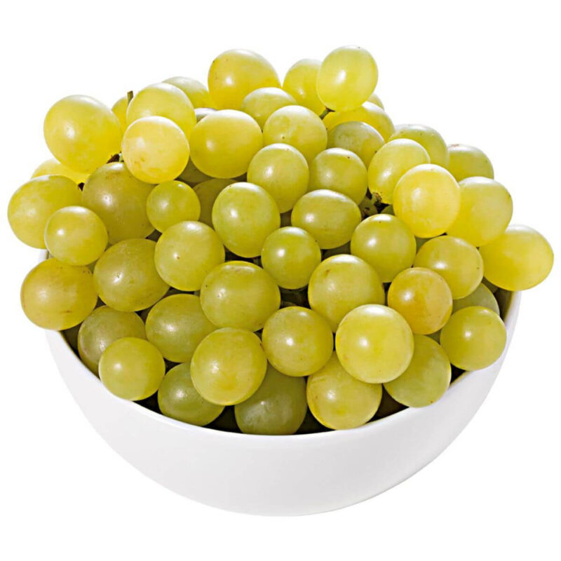 528435 Digisellos Product