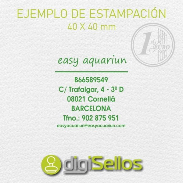 Tampon Dateur Manuel Alevar – Mois En Anglais, Empreinte 4 Mm, Support Acier Et Molette Plastique