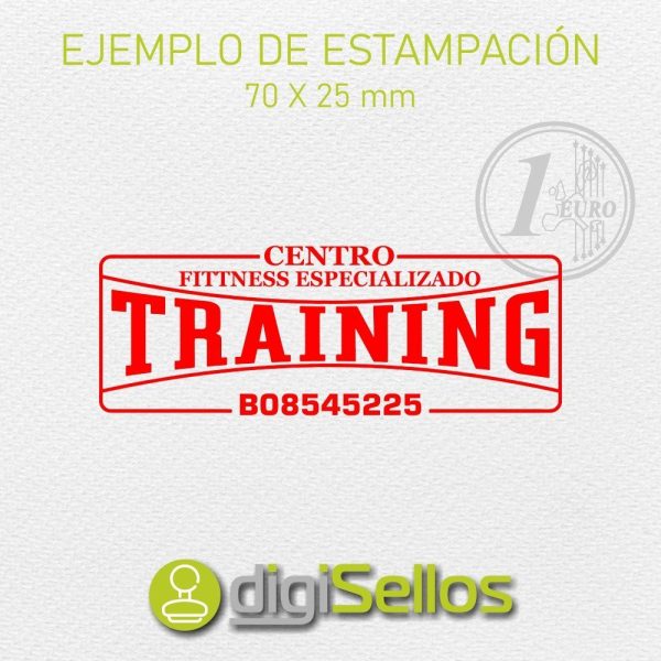 Seal 70x25mm-1