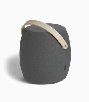 Ornare auctor - Imagen 3